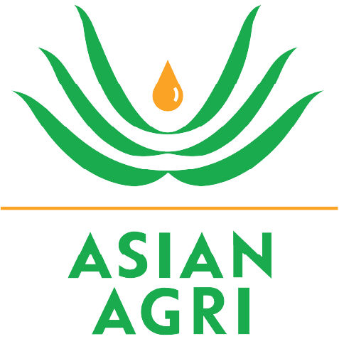 PT Inti Indosawit Subur